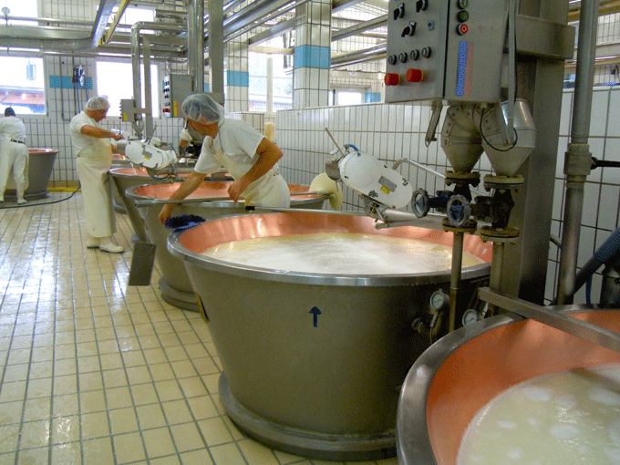 parmegiano_usine