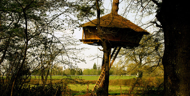 arbre_cabane1