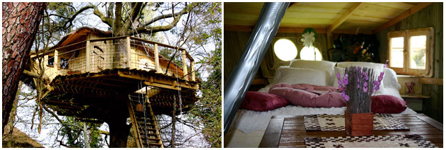 arbre_cabane_inside