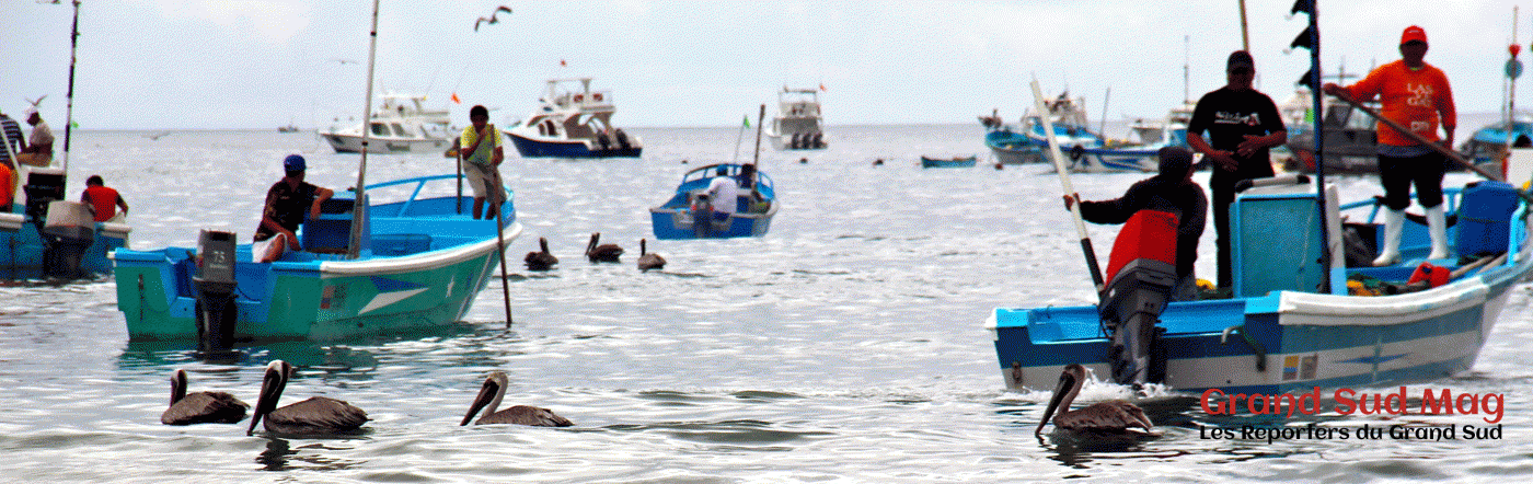 De Guayaquil à la Côte Pacifique