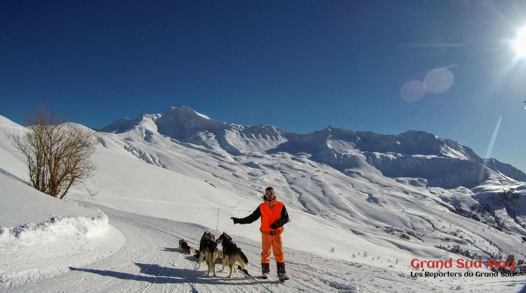 Saint-François Longchamp - Musher