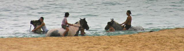 A dos de poney, jusque dans la Méditerranée... (Club Med  à Smir)
