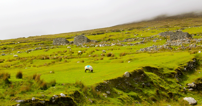 achill_village_desert