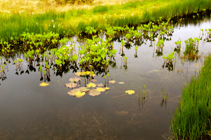 ballycroy_park1