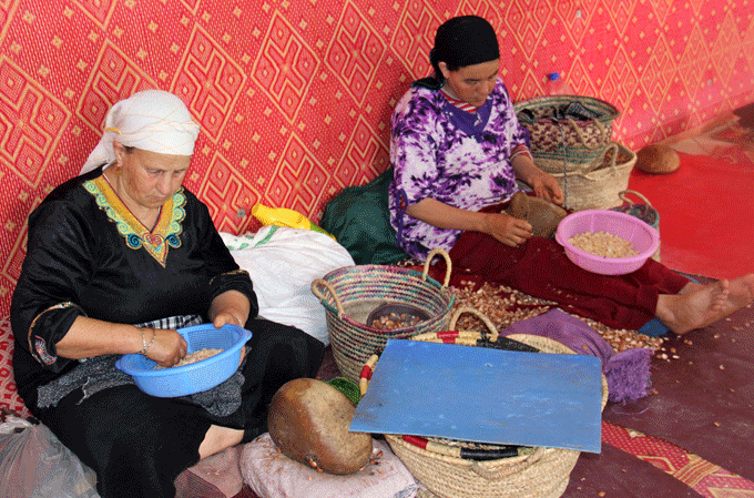 essaouira_argane1