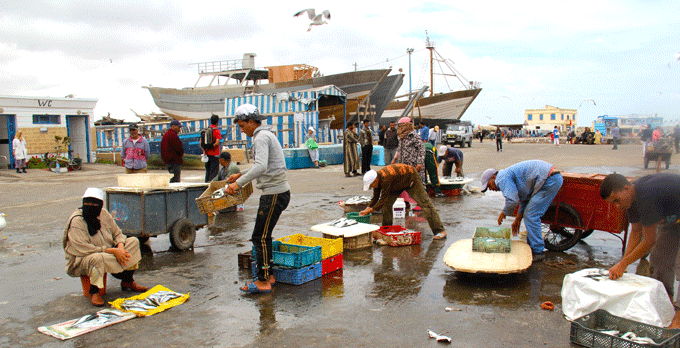 essaouira_poissons