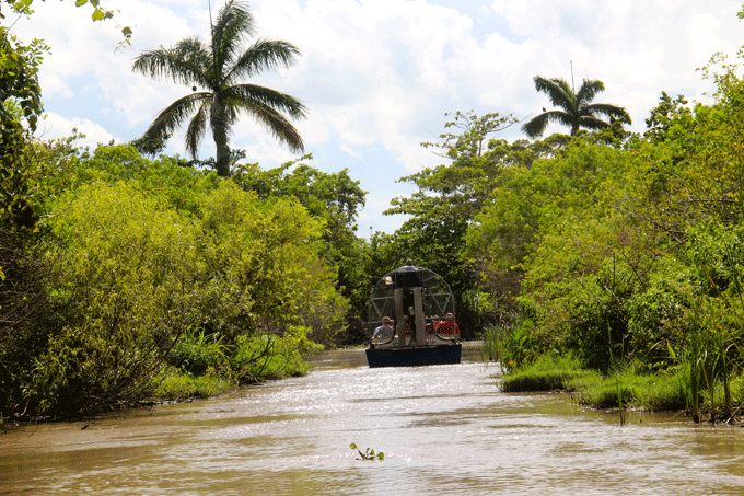 everglades_bateau