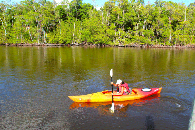 everglades_kayak