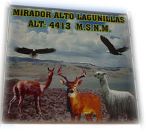 mirador4413