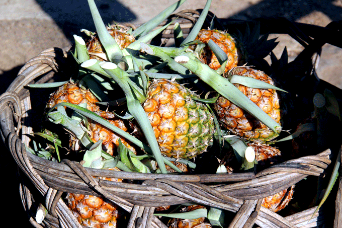 village_ananas1