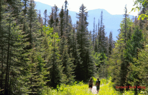 PARC_GASPESIE3