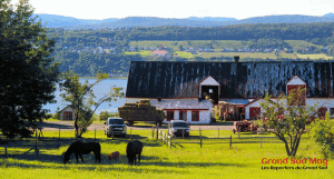 orleans_ferme