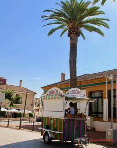 CORDOUE GELATO