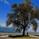 Suisse/Canton de Vaud : de la Vallée de Joux à Yverdon-les-Bains