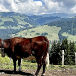 Savoie : le Val d’Arly