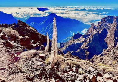 CANARIES : LA PALMA, L’ISLA BONITA