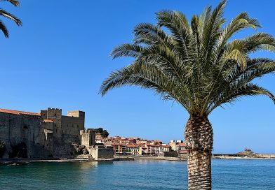 Pyrénées-Orientales : Terre de Vins et de Gastronomie